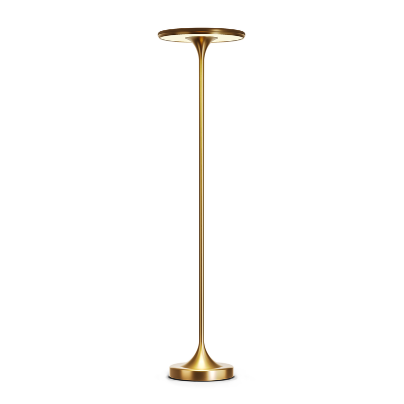 Gold floor lamp on a white background